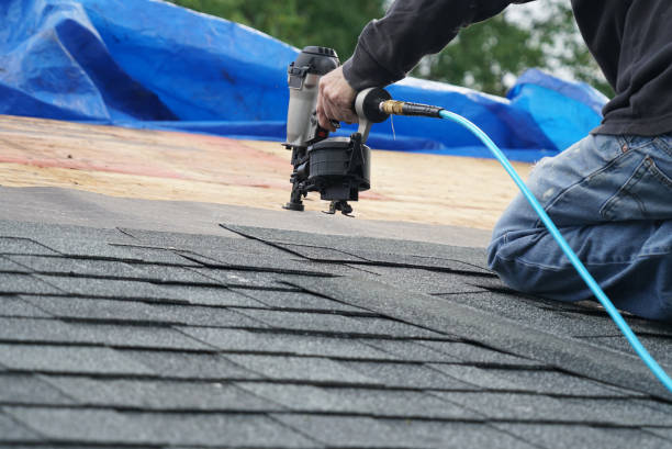 Best Roof Moss and Algae Removal  in Fort Smith, AR